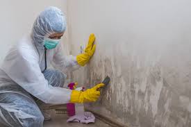 Best Emergency Mold Remediation  in Sturgis, MI